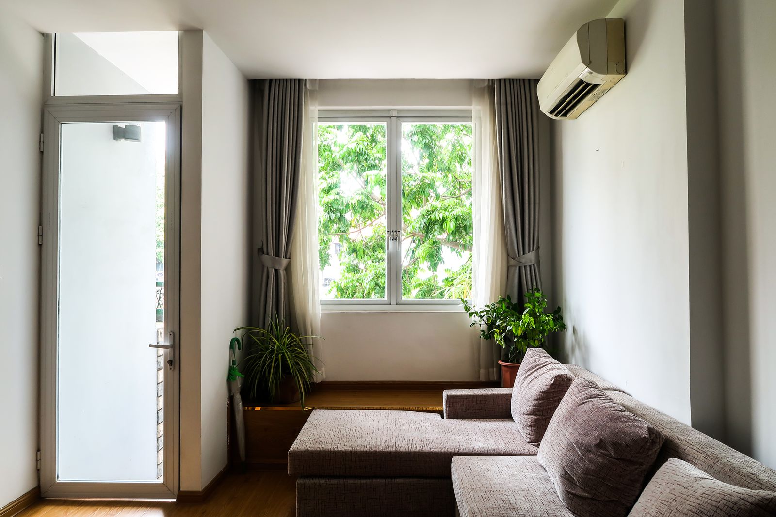 Stue med grønn plante ved vinduet og mykt dagslys